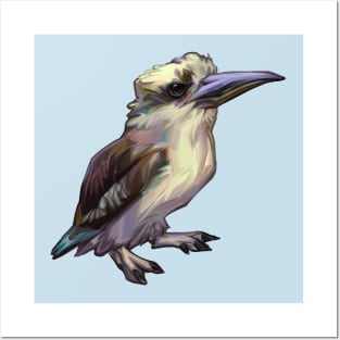 Kookaburra Posters and Art